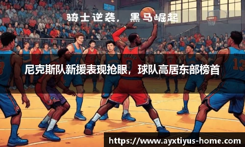 尼克斯队新援表现抢眼，球队高居东部榜首